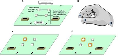 Bimanual Reach to Grasp Movements in Youth With and Without Autism Spectrum Disorder